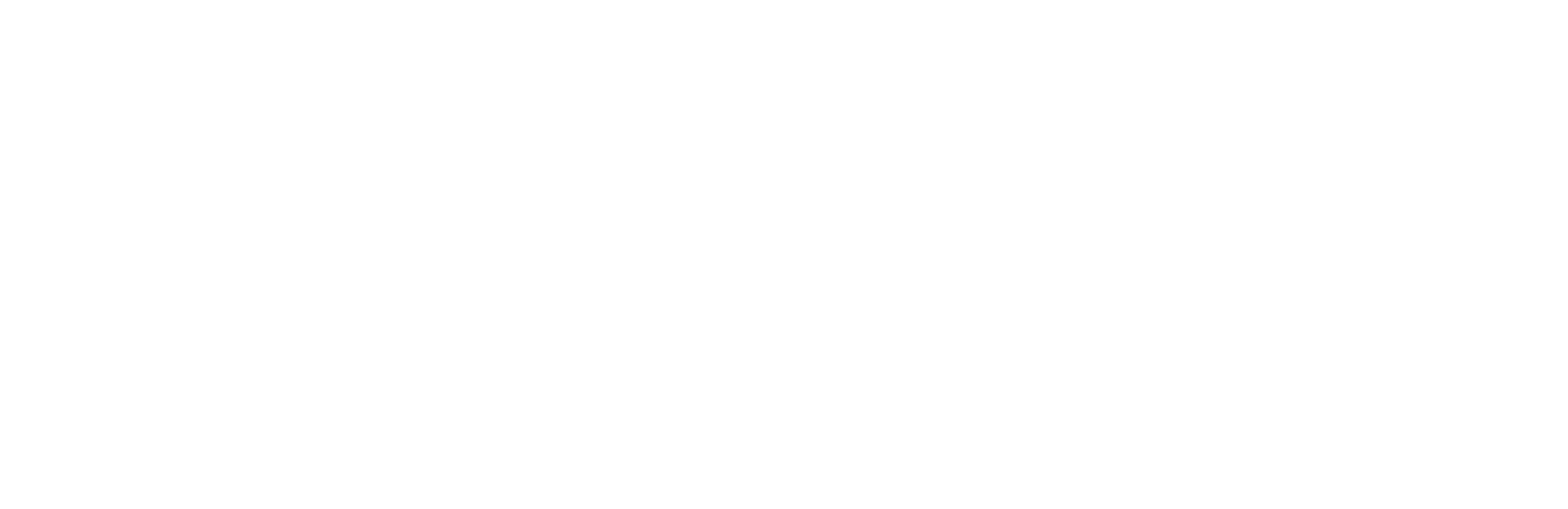 White inverse Vigyr logo
